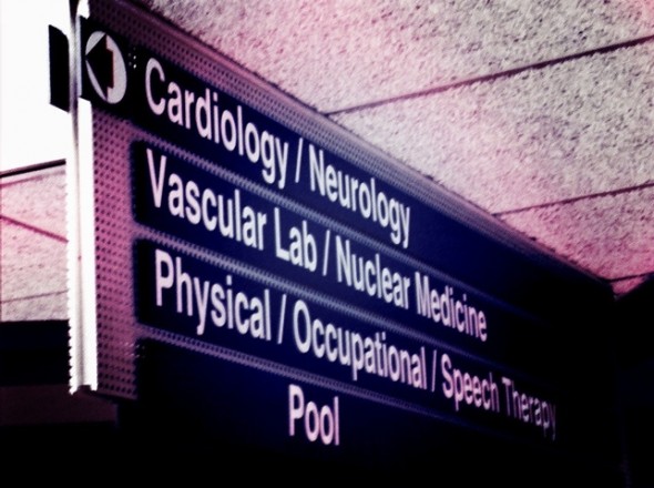 What is the Heart with no Brain?