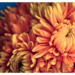 il_fullxfull.266695188