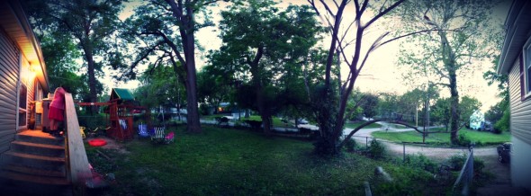 More Like a Yard, Less Like a Jungle