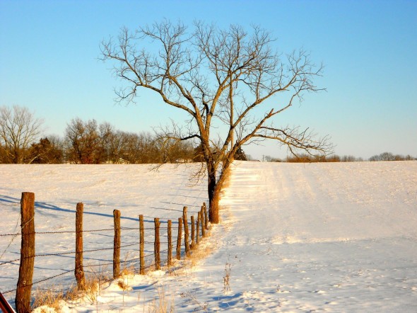 1485878_10202931691643416_1242397233_o